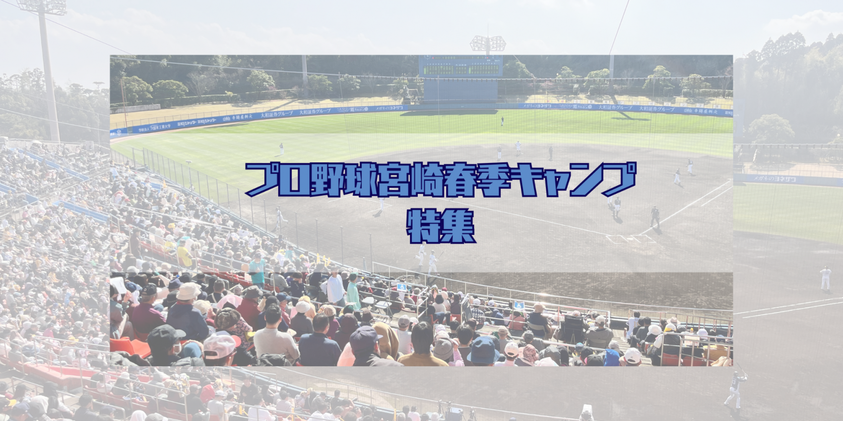 3球団が集うのは宮崎市だけ！プロ野球春季キャンプ