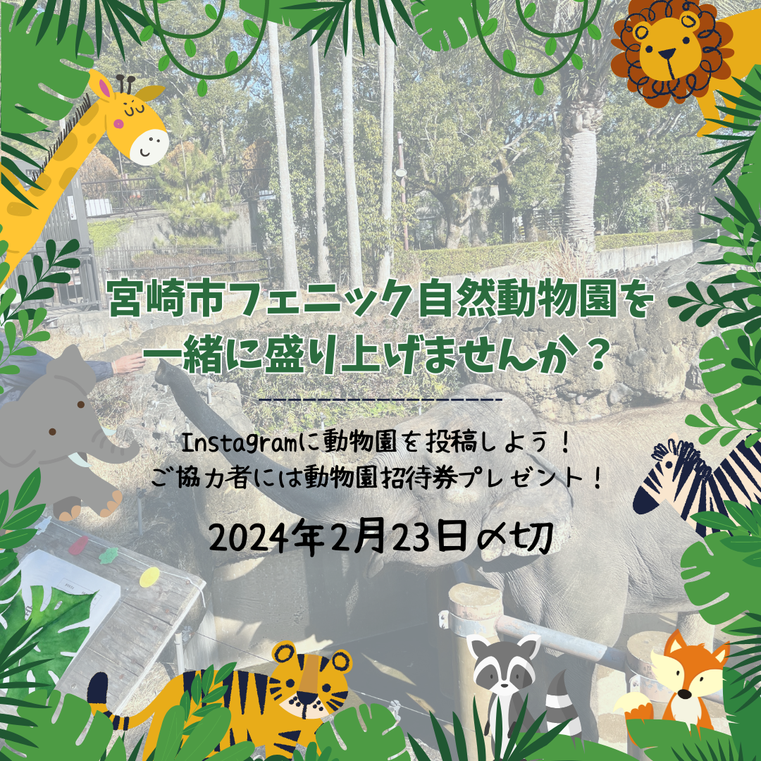 宮崎市フェニックス自然動物園のPRをしませんか？-1