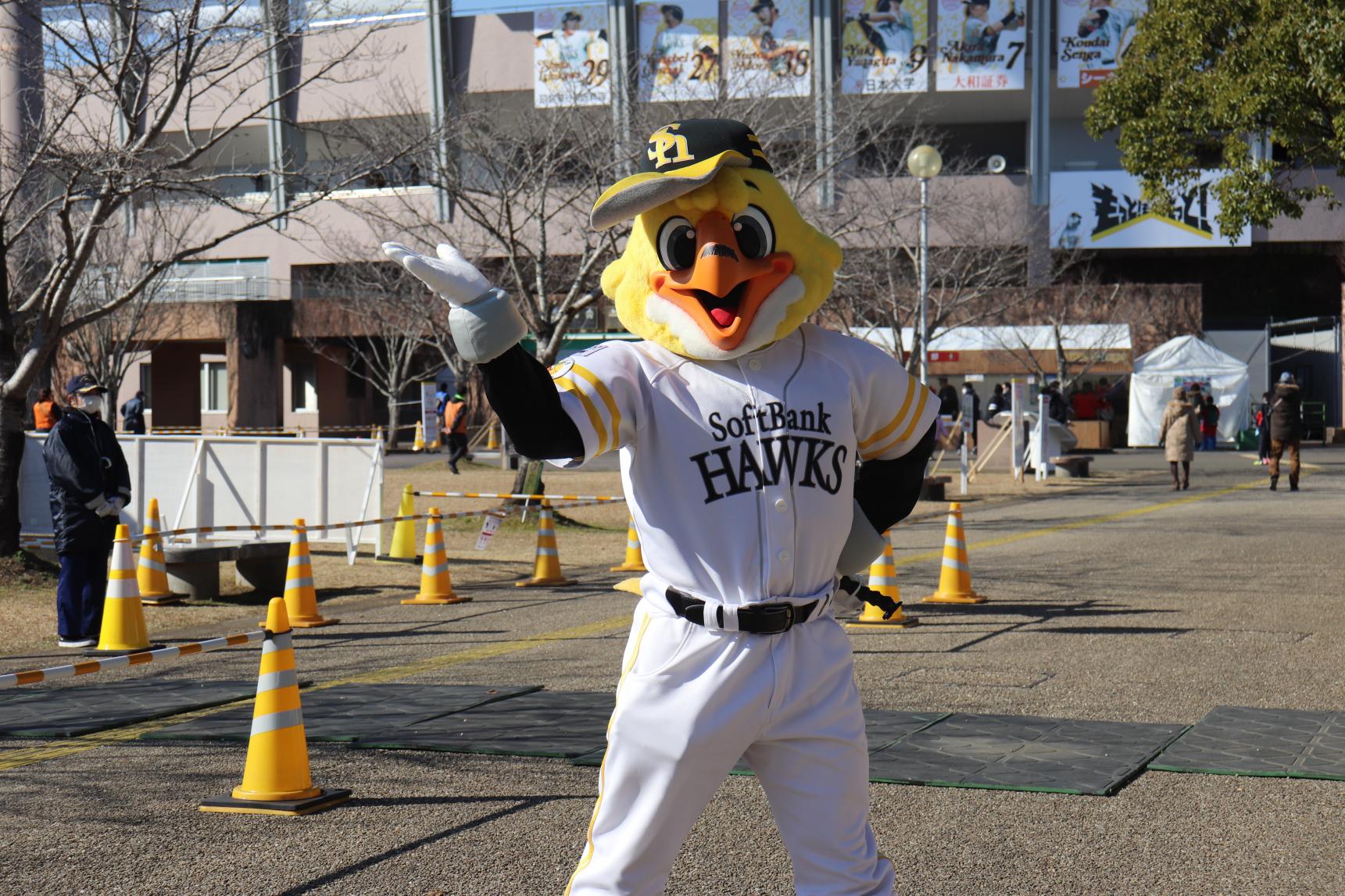 福岡ソフトバンクホークス 2026宮崎春季キャンプ 練習補助アルバイト募集-1