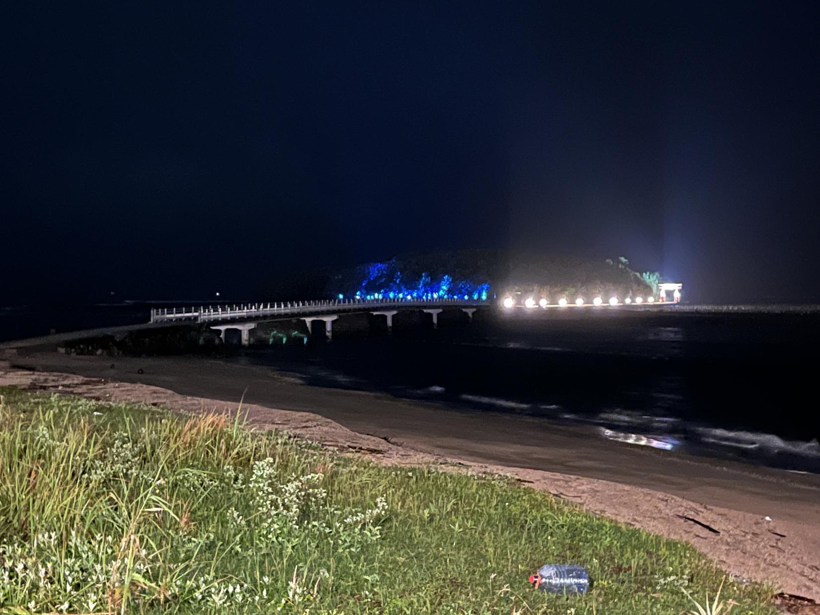 🌉 夜の青島が光で浮かび上がる-2
