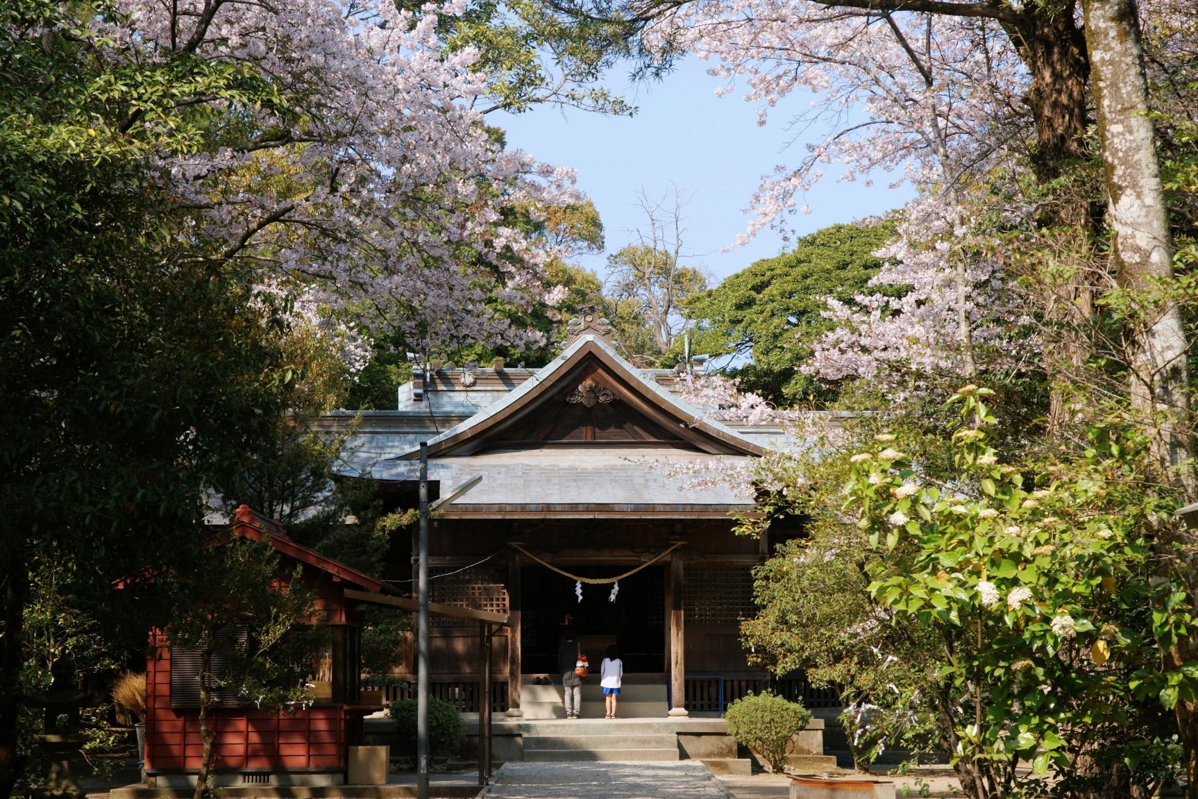 日本初の夫婦が祀られる江田神社-1