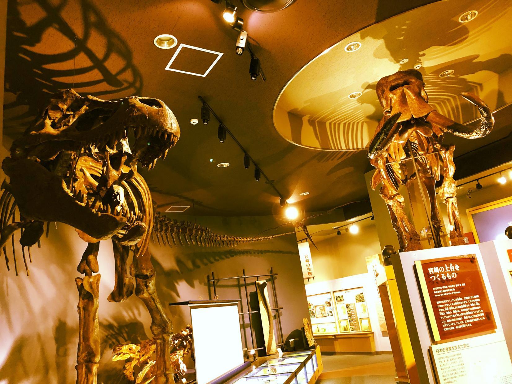 宮崎県総合博物館-1