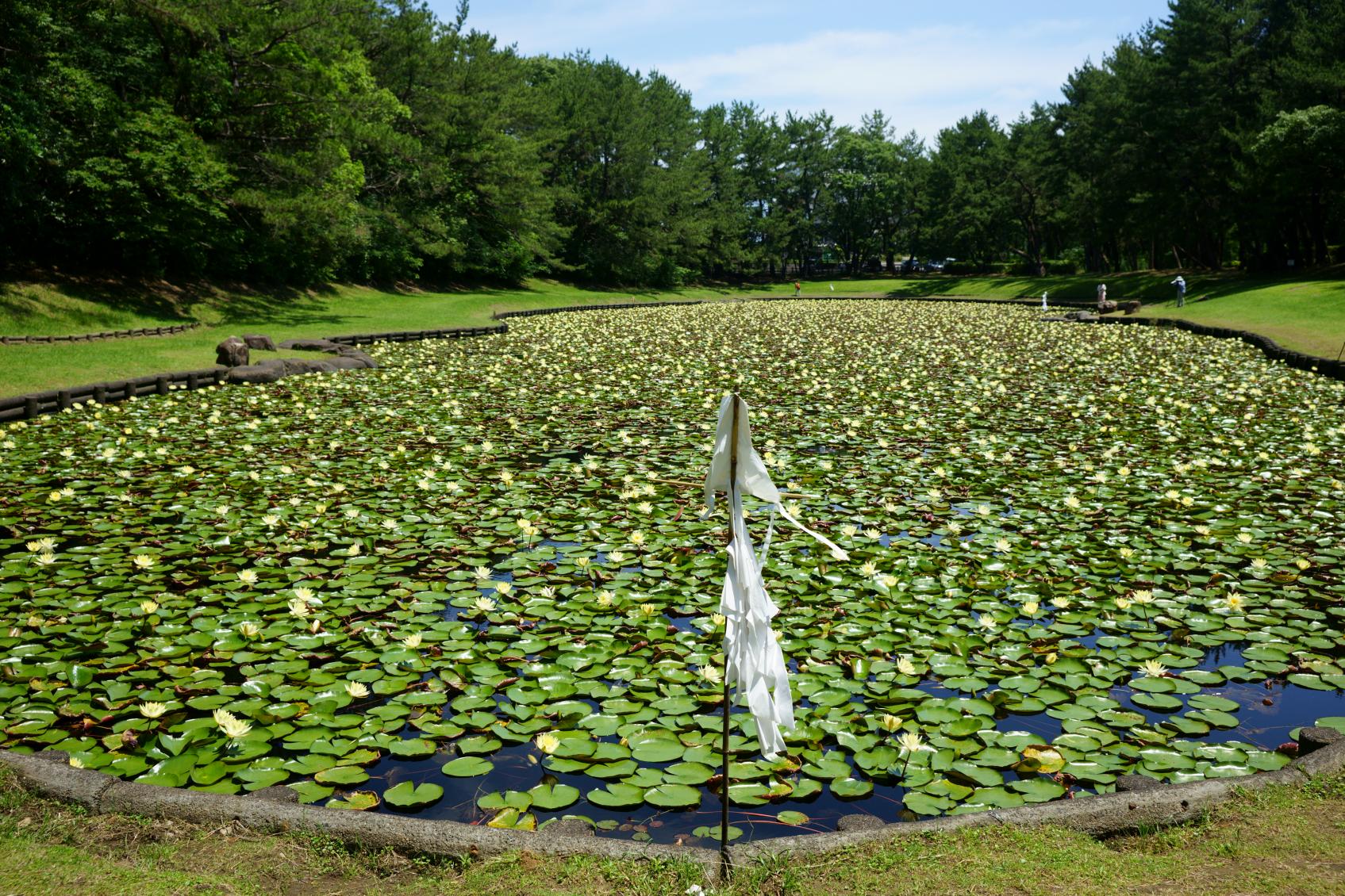 天照大御神（アマテラスオオミカミ）とは？-1