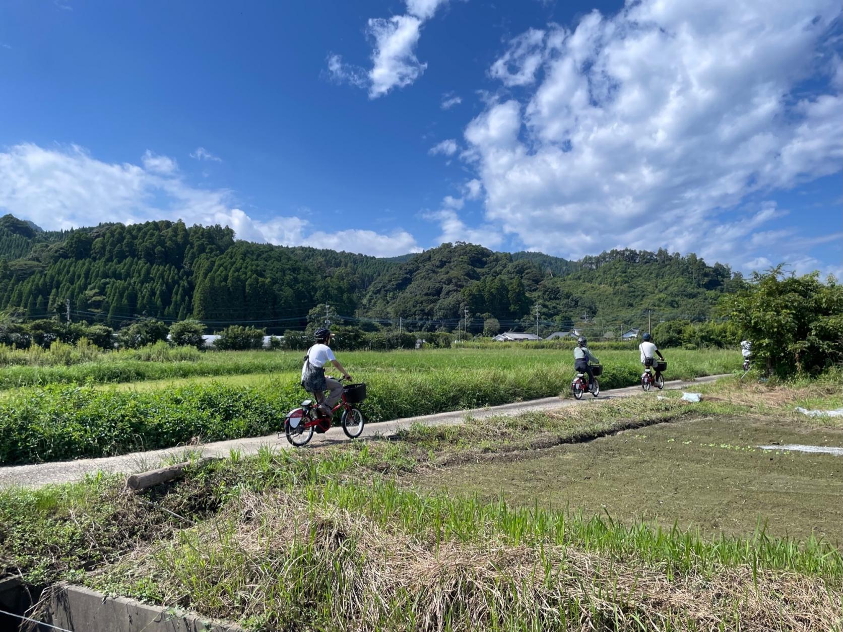 正蓮寺平野をサイクリング-1