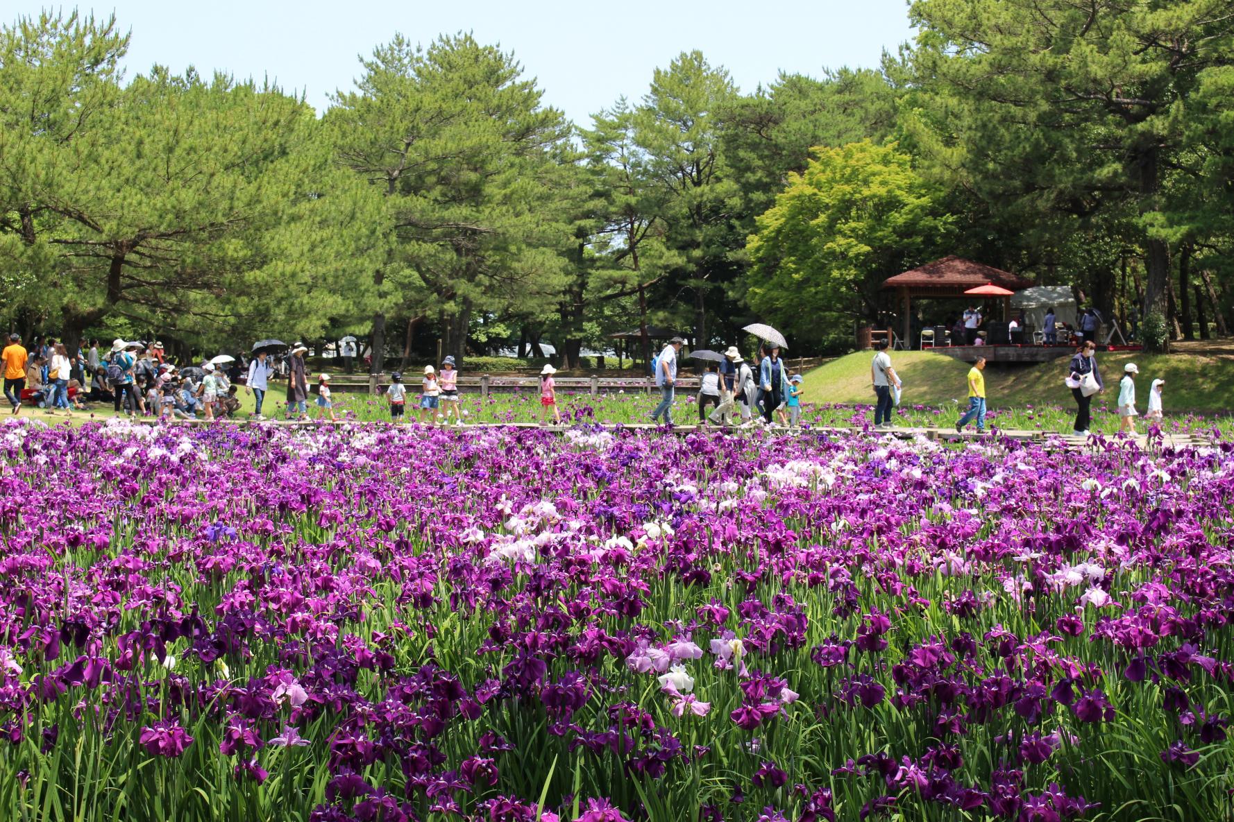 Awakigahara Forest Park, Shimin-no-mori (Country Park)-1