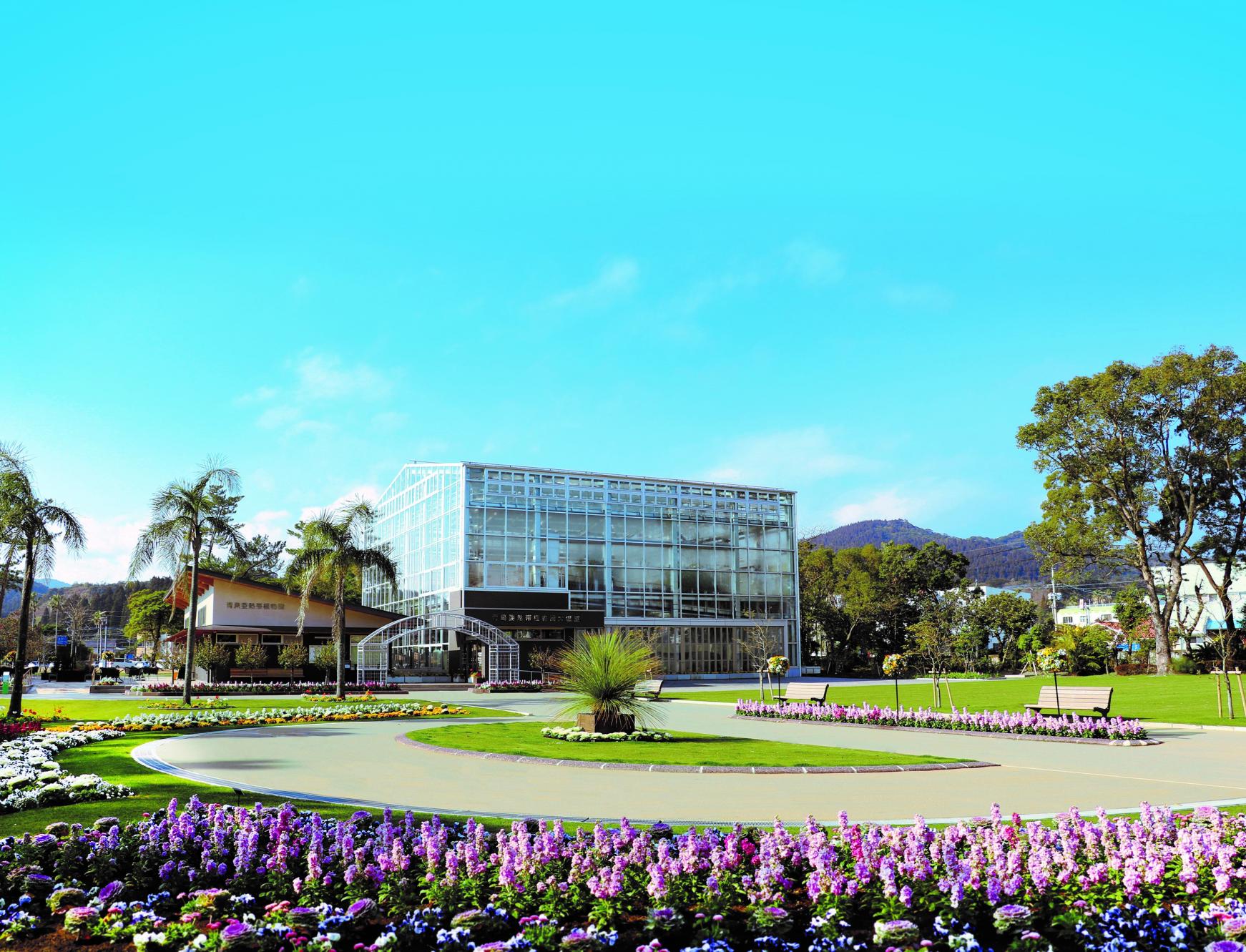 宮交亞熱帶植物園(縣立青島亞熱帶植物園):與世界上的亞熱帶植物相遇-1