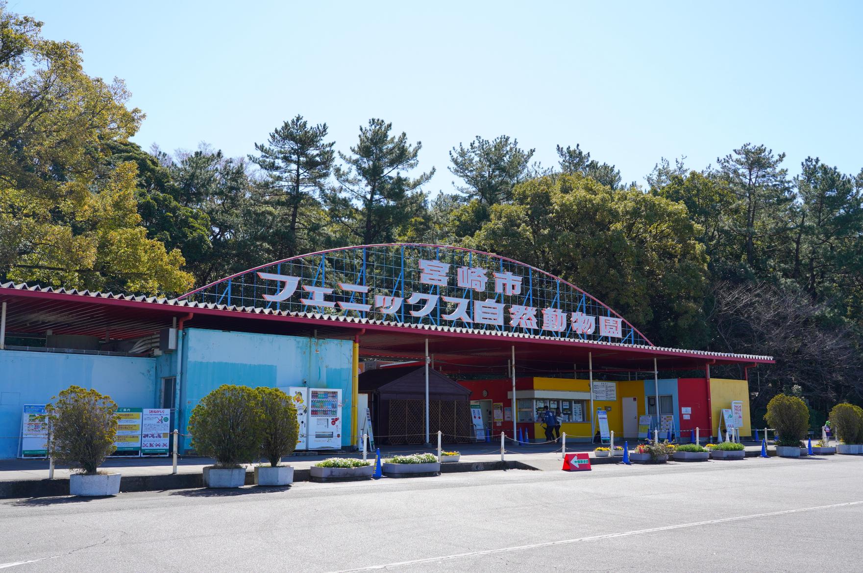 宮崎市フェニックス自然動物園-1