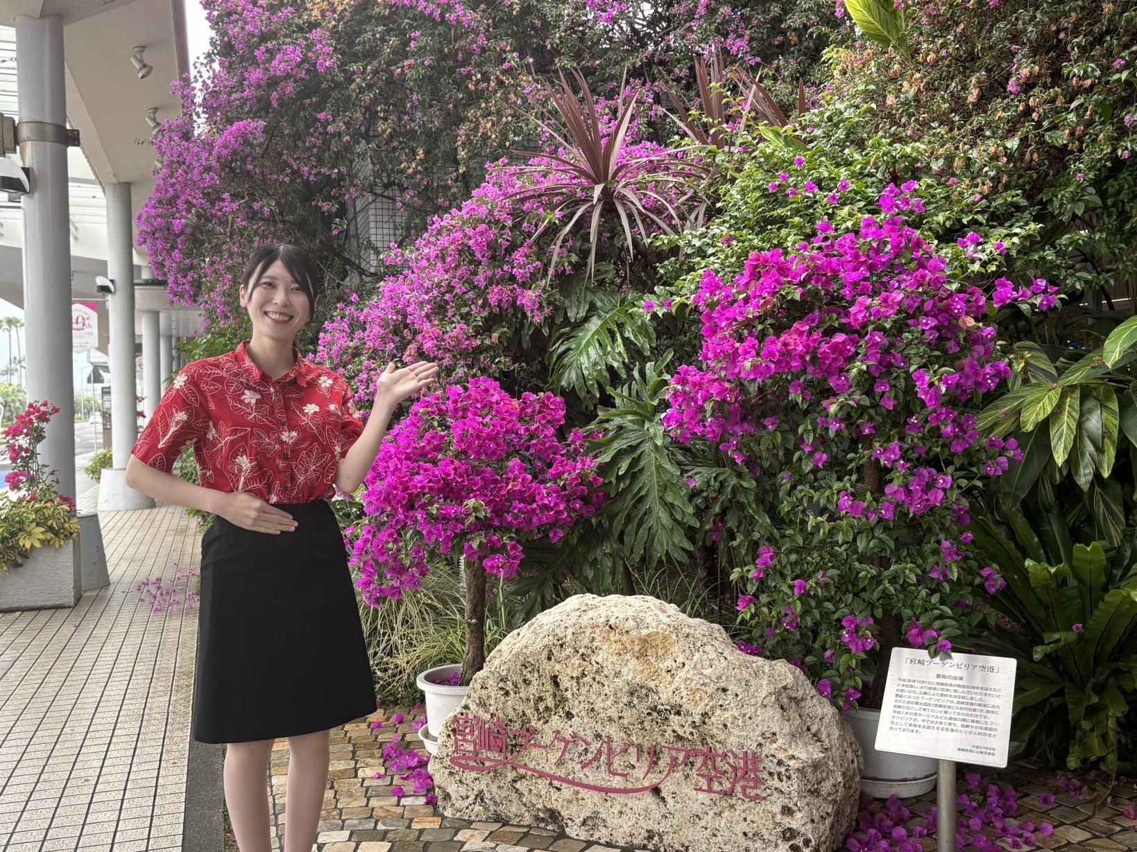 ブーゲンビリアが咲き誇る美しい空港-0