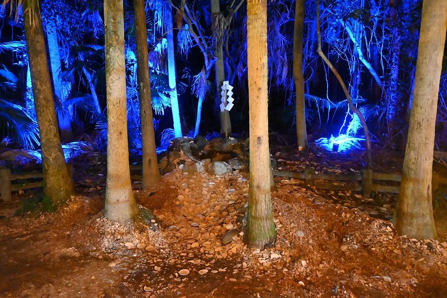 神聖なる本島体験-3