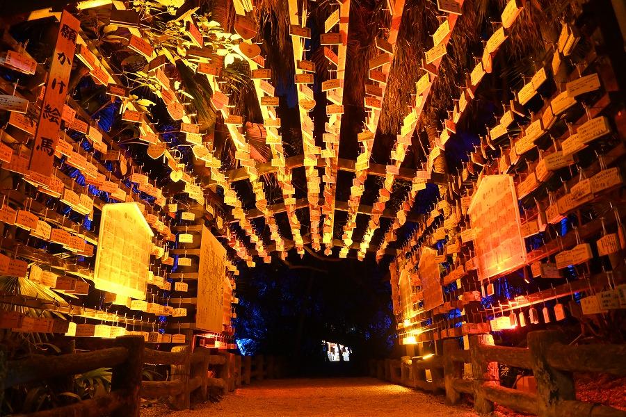 神聖なる本島体験-1