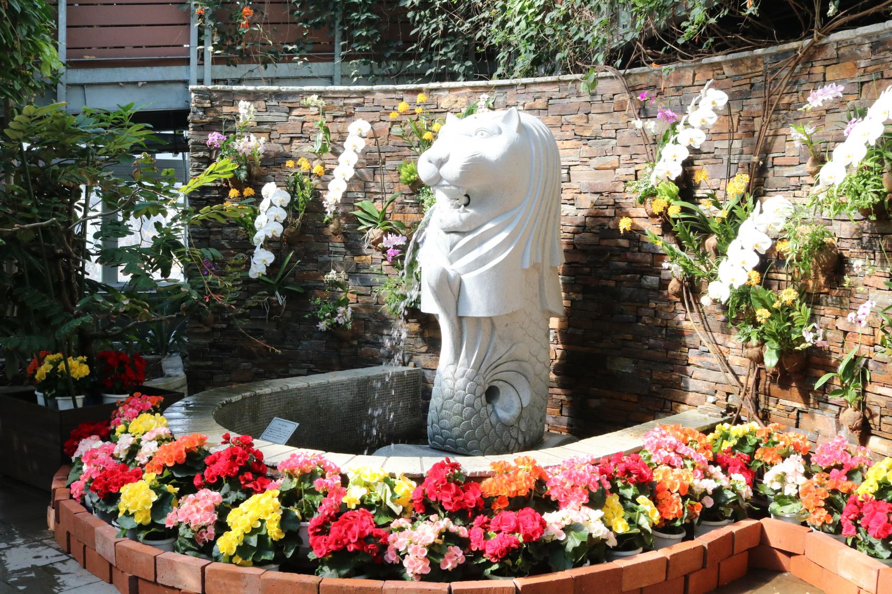 宮交植物園青島（Miyakoh Botanical Garden Aoshima）-3