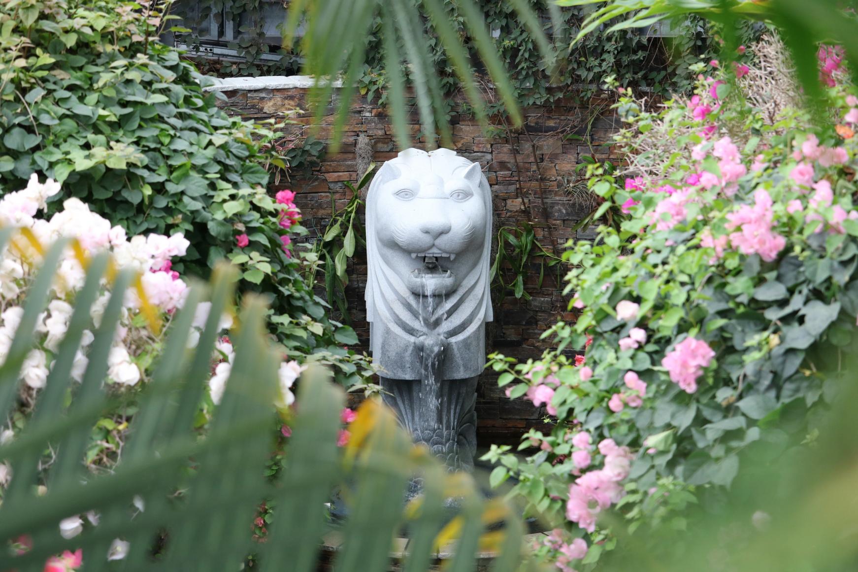 宮交植物園青島（Miyakoh Botanical Garden Aoshima）-1