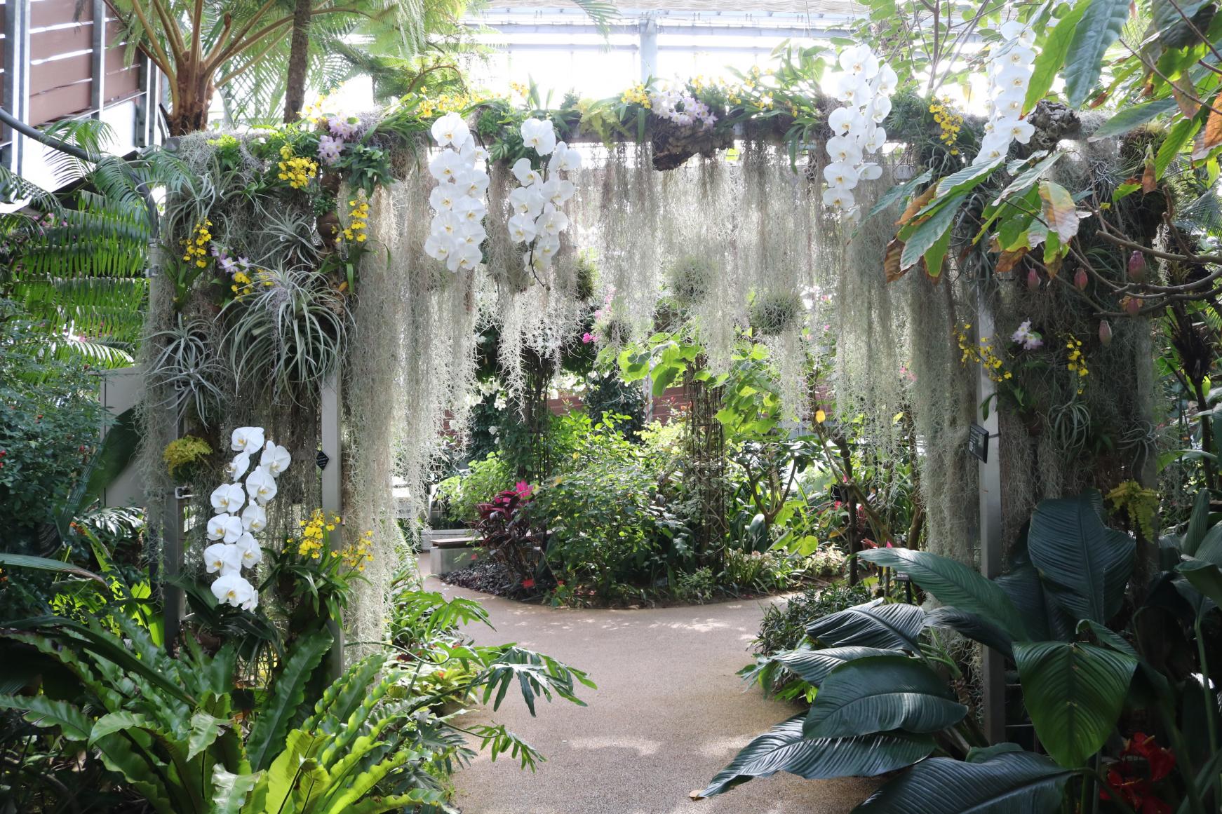 宮交植物園青島（Miyakoh Botanical Garden Aoshima）-2