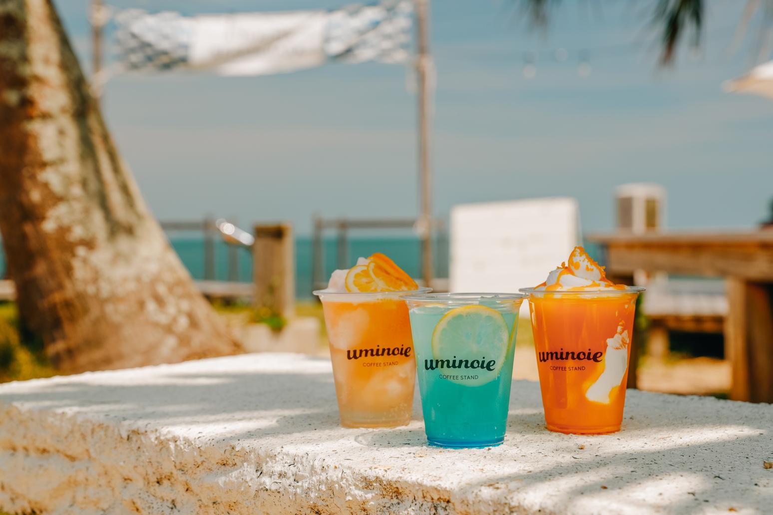 AOSHIMA BEACH PARK-3