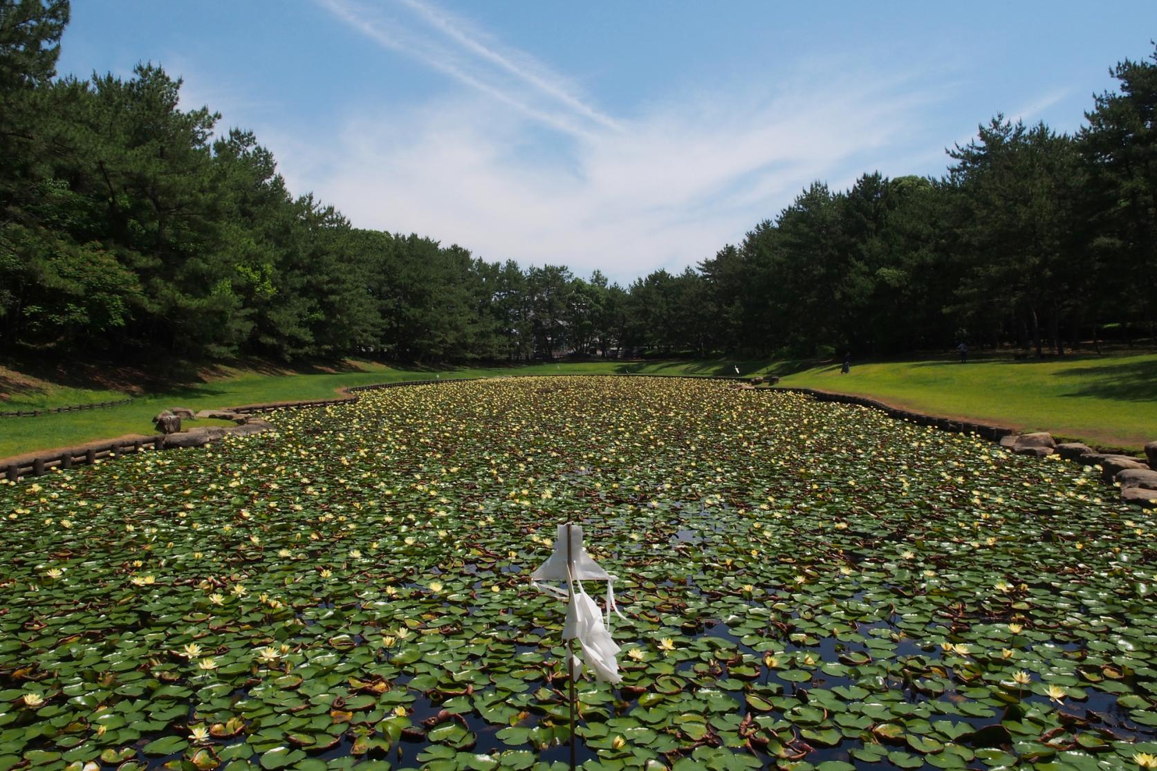 宮崎と天照大御神の深いつながり-0
