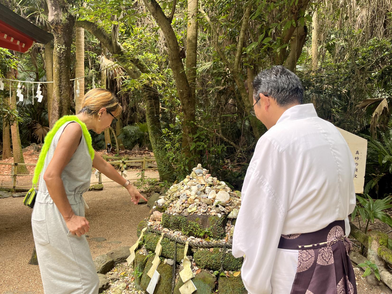 ６）青島貝殻が堆積してできた島！？真砂の貝文-0