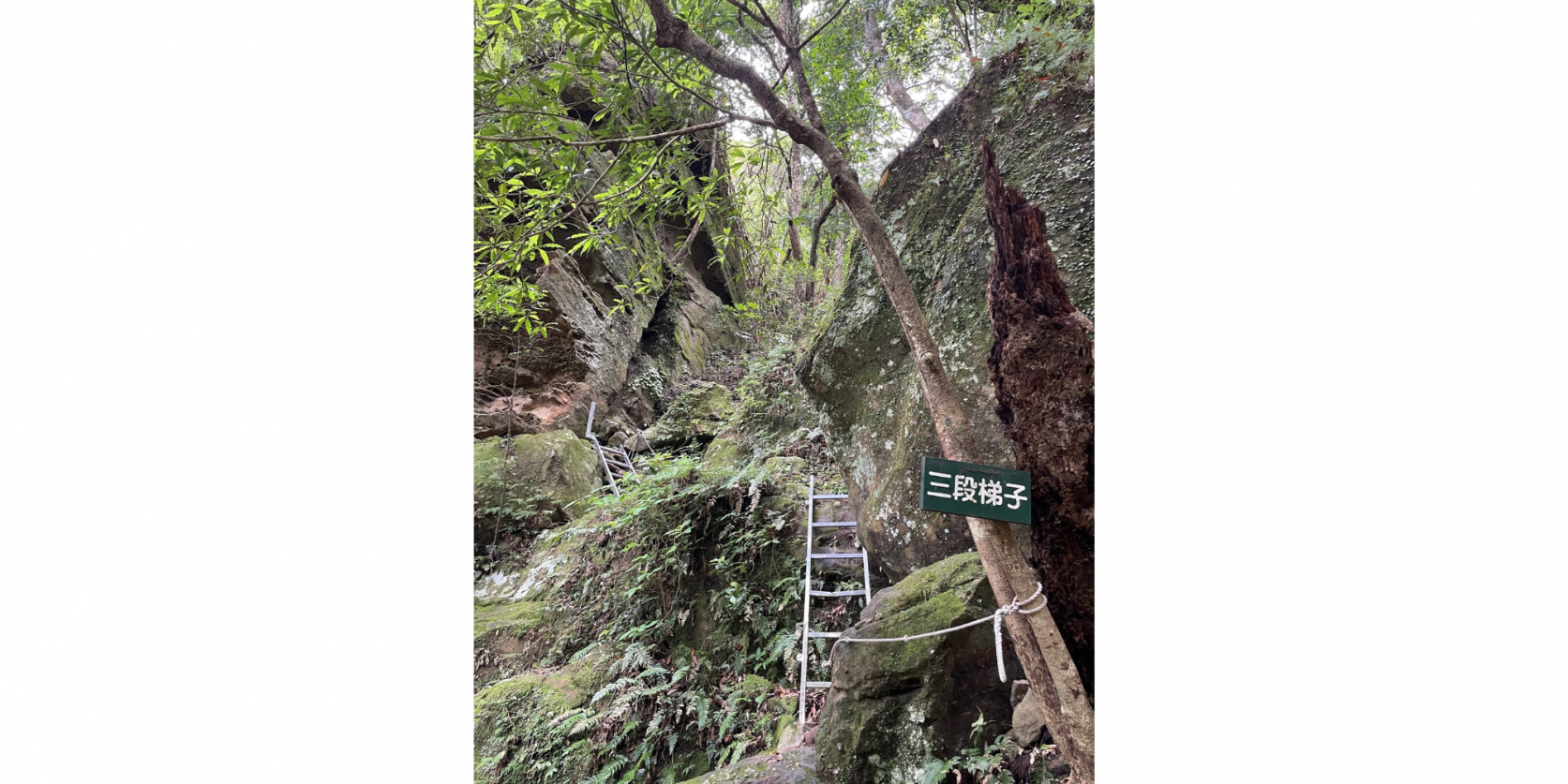 地域のシンボル、双石山｜流れの始まりに立つ、奇岩と信仰の山-9
