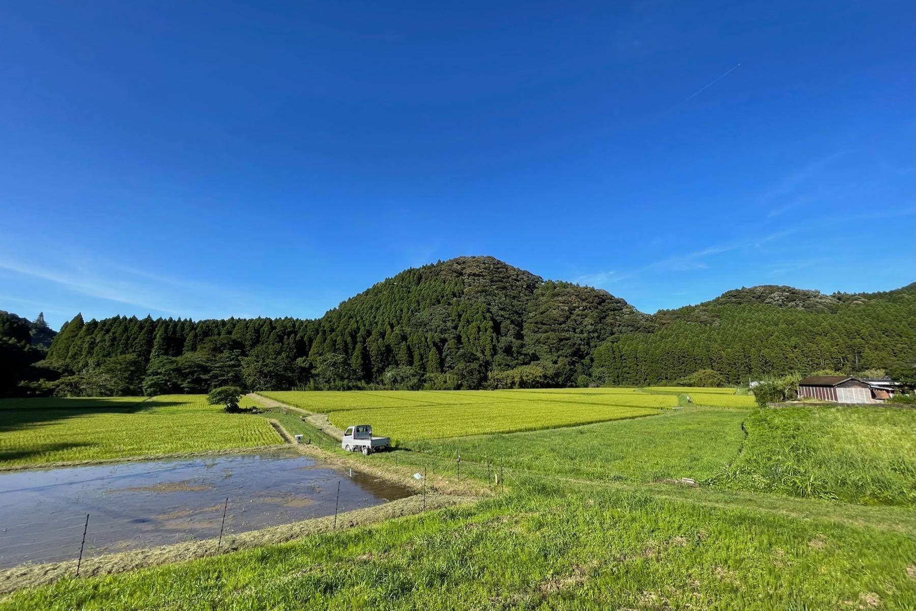 加江田川と田園｜暮らしのなかを流れる水-8