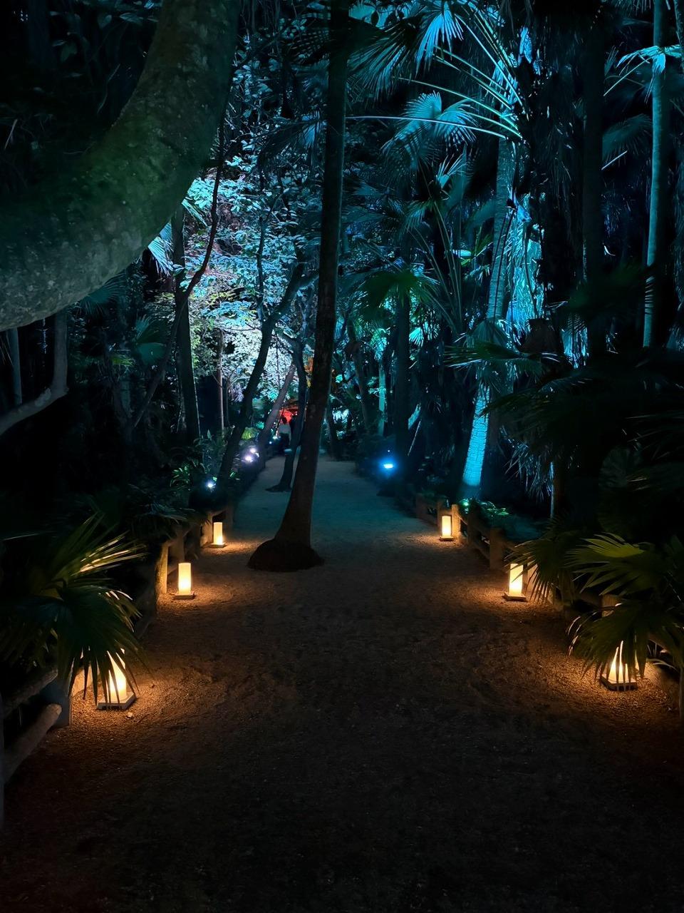 【夜間特別開放】ライトアップされた青島神社と本島を巡る「神聖なる本島体験」-3