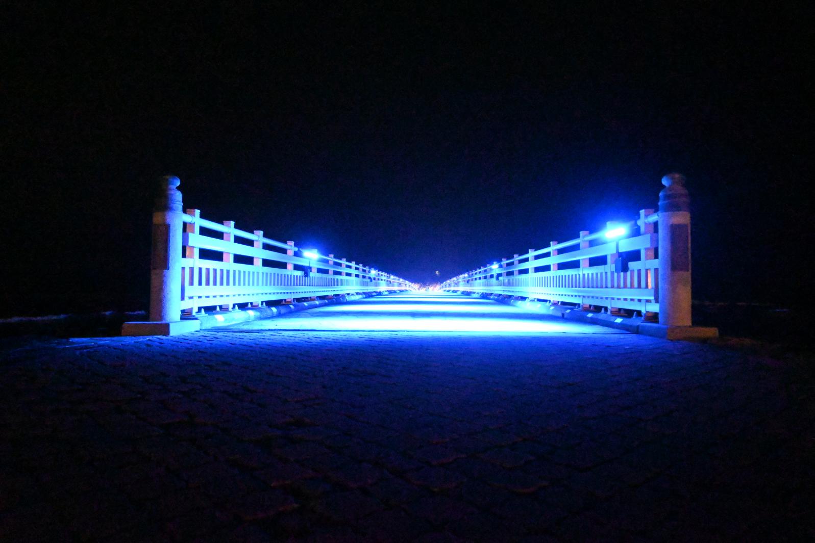 【夜間特別開放】ライトアップされた青島神社と本島を巡る「神聖なる本島体験」-0