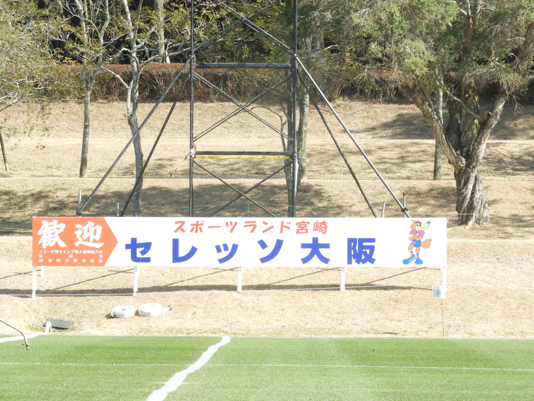 【1/17(土)～1/29(木)】セレッソ大阪-1