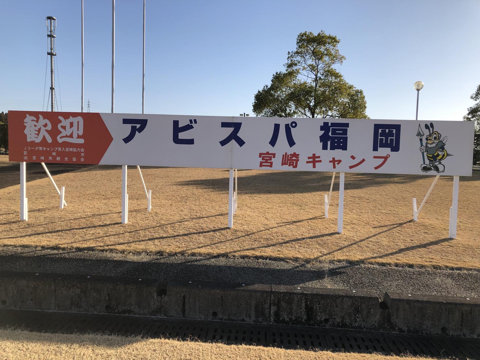 アビスパ福岡-1