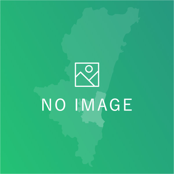 福岡ソフトバンクホークス宮崎春季キャンプ2024 特集 【公式】宮崎市観光サイト