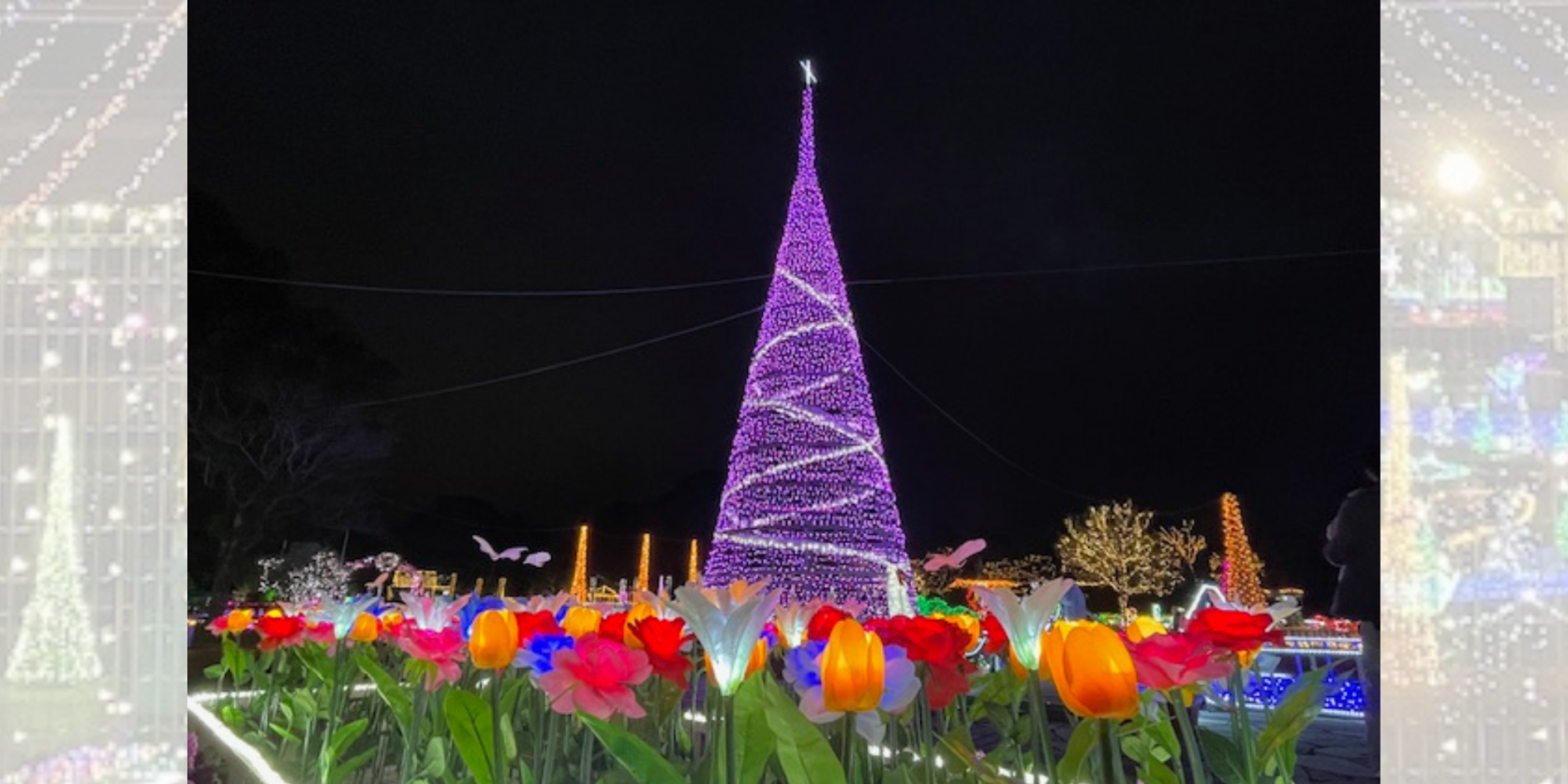 宮崎市イルミネーション特集2025-1