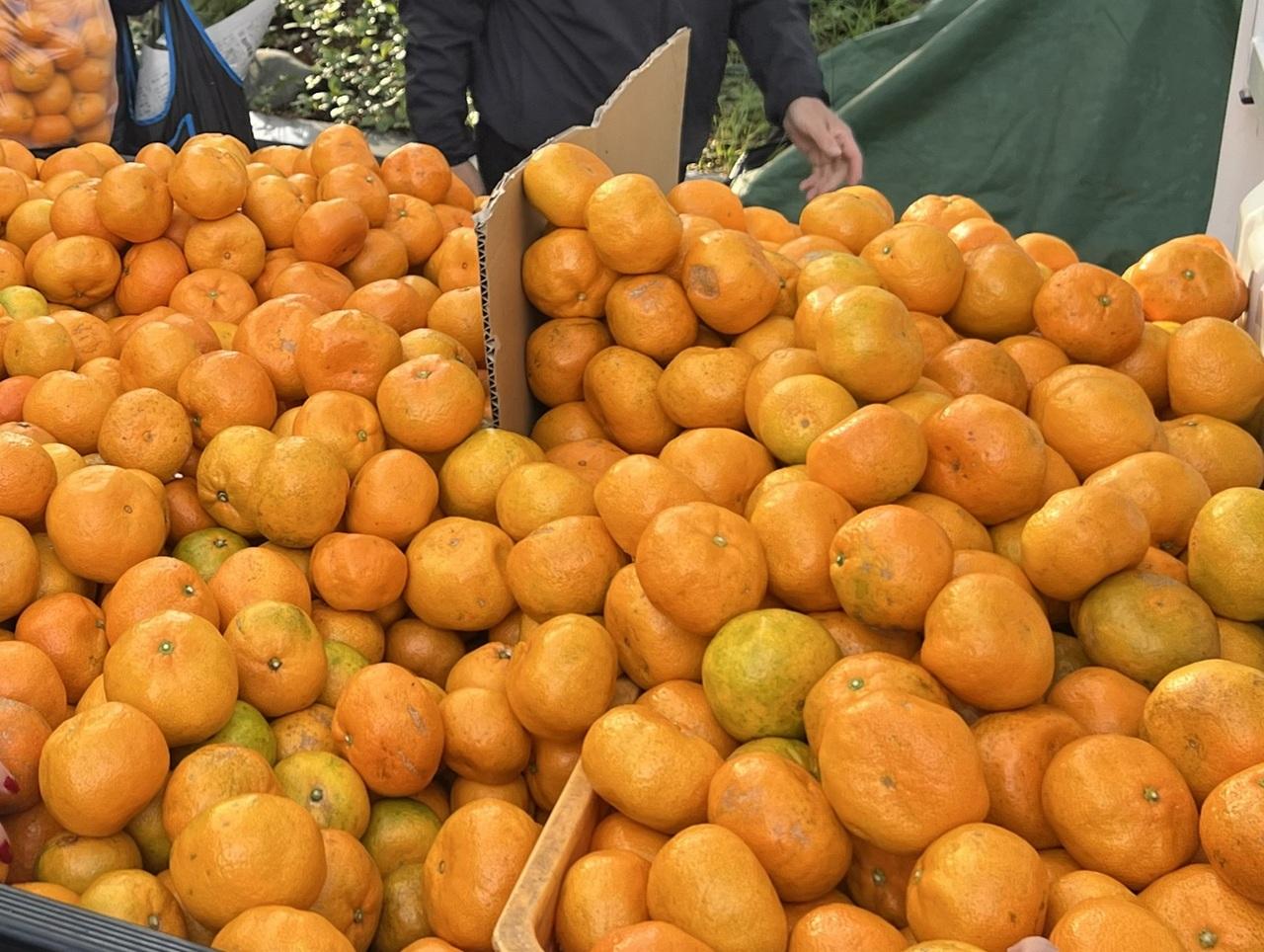 Kusunamiki Morning Market, where fresh local produce and Miyazaki specialties are on display-1