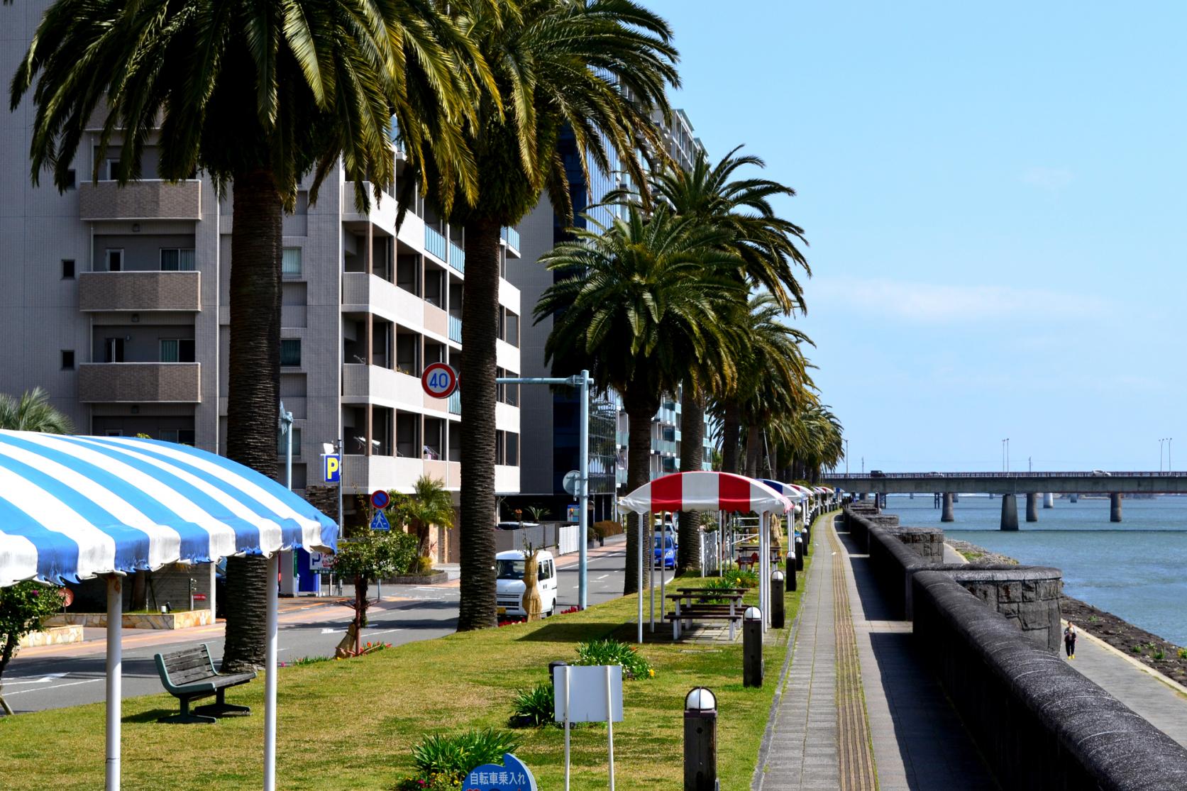 橘公園（大淀川沿い）-3