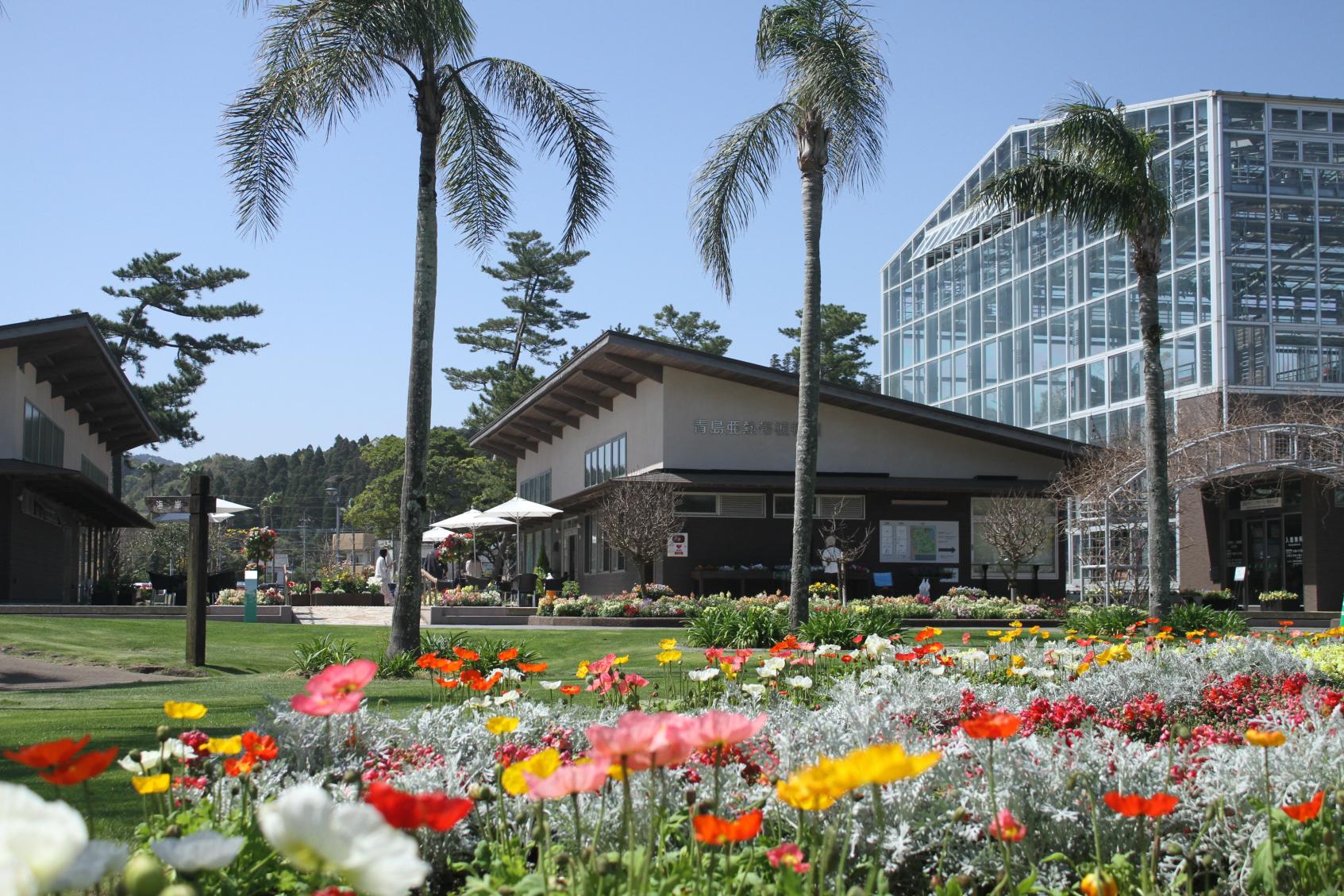 宮交ボタニックガーデン青島（県立青島亜熱帯植物園）-0