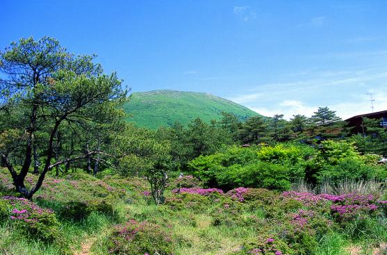 虾野高原-0