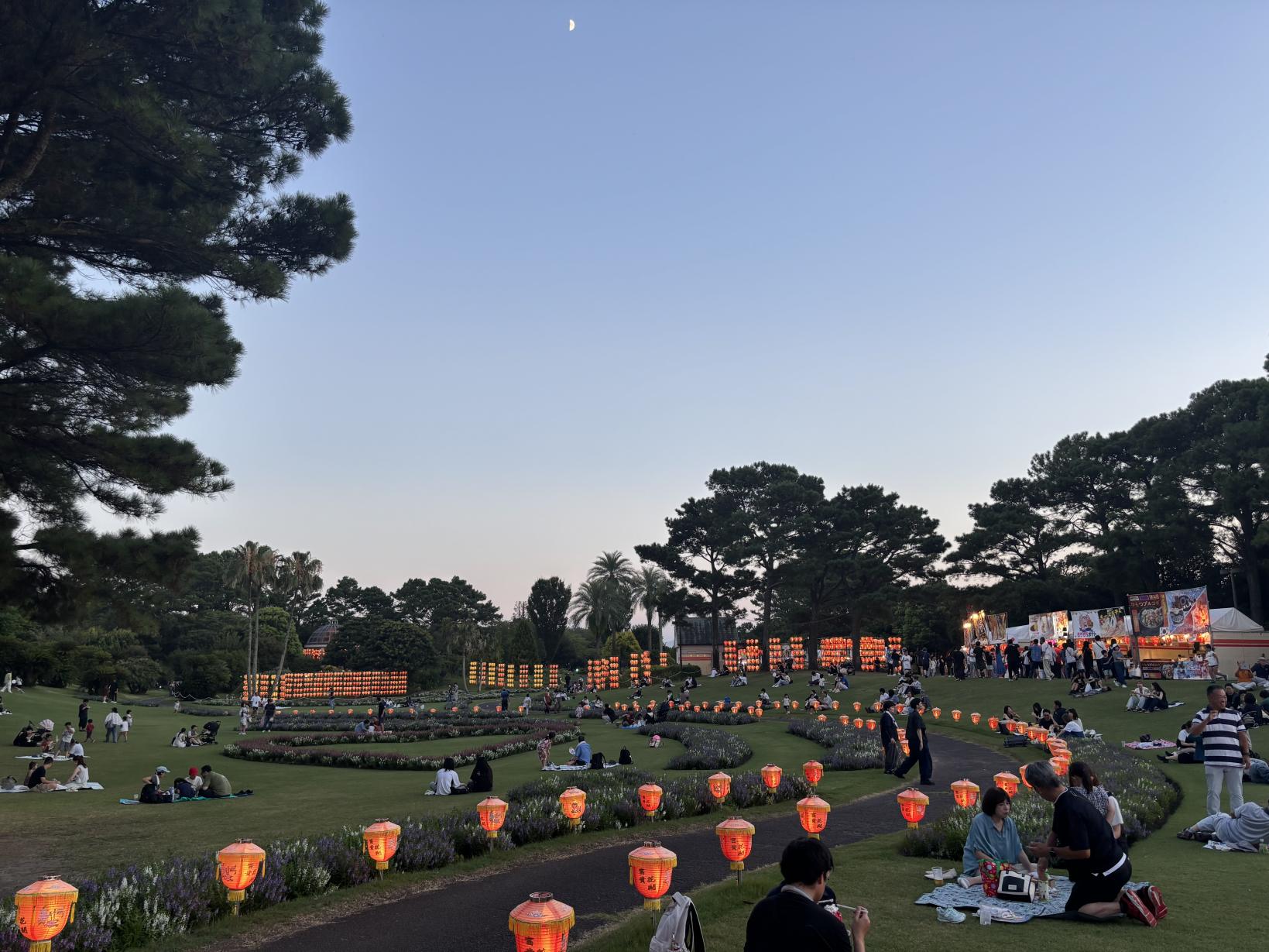 【2026】みやざきグルメとランタンナイト-7