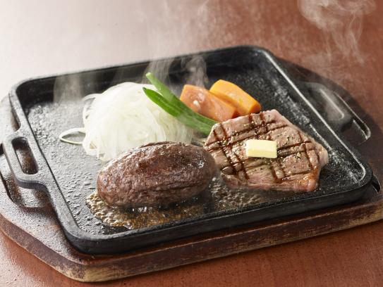 平家の郷　宮崎南館-0