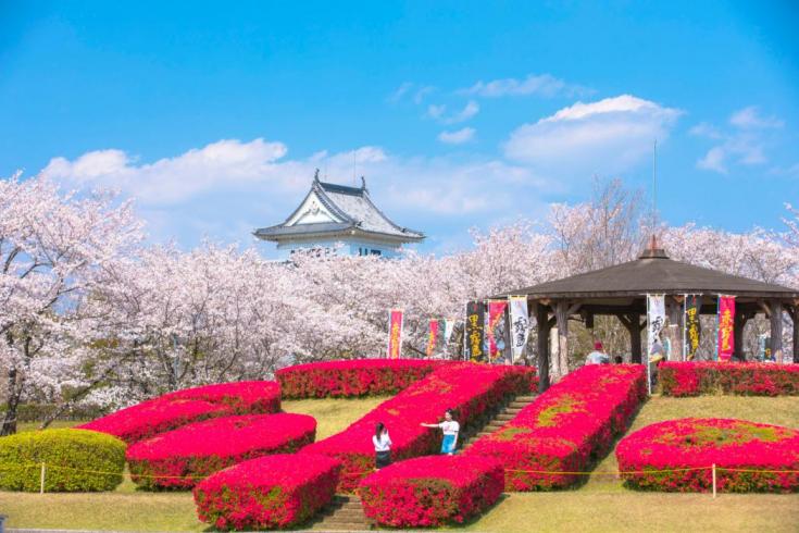 【毎月第1・3日曜日開催】いっちゃが宮崎 楠並木朝市 | イベント | 【公式】宮崎市観光サイト