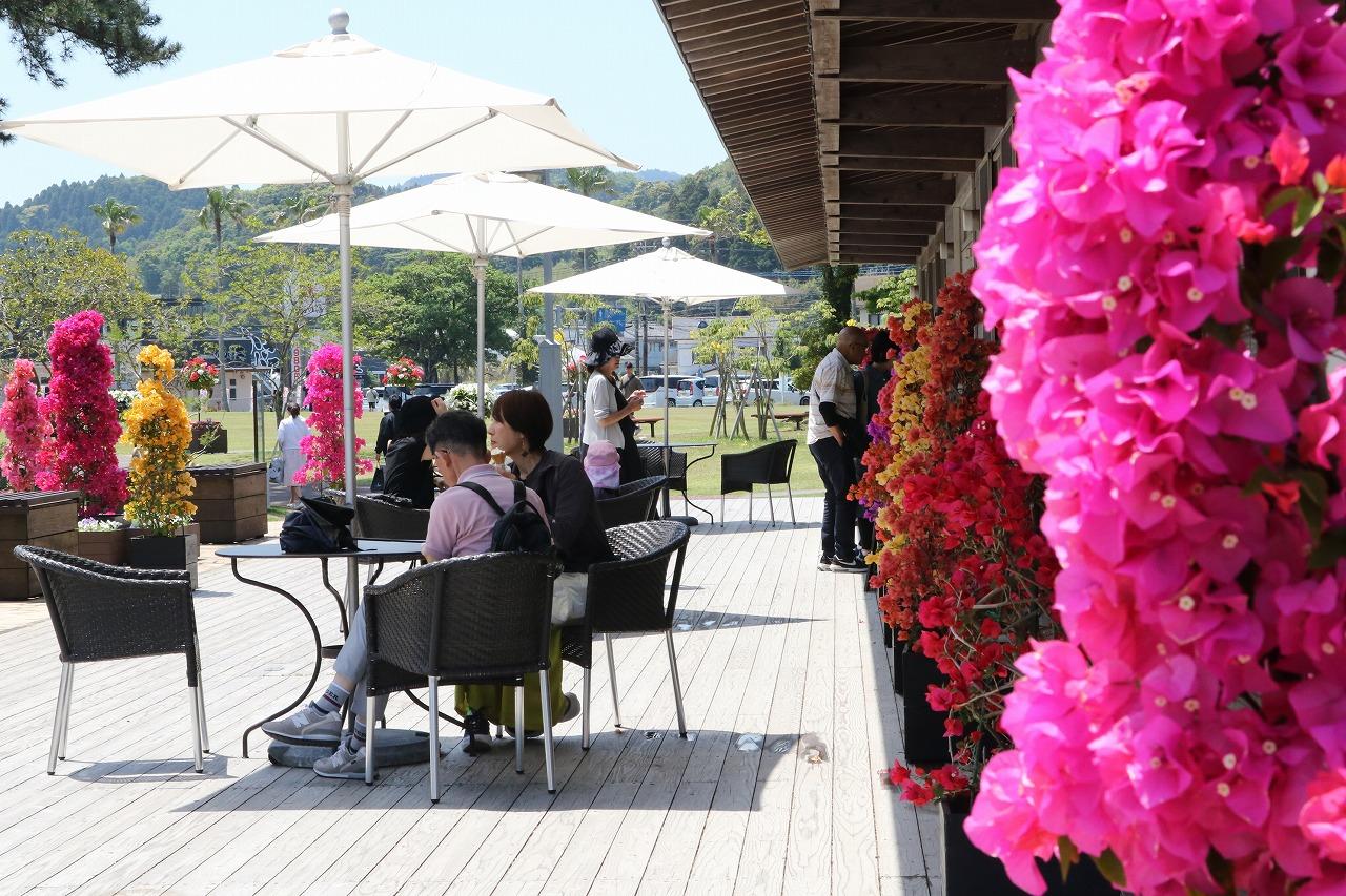 ブーゲンコレクション2026-2