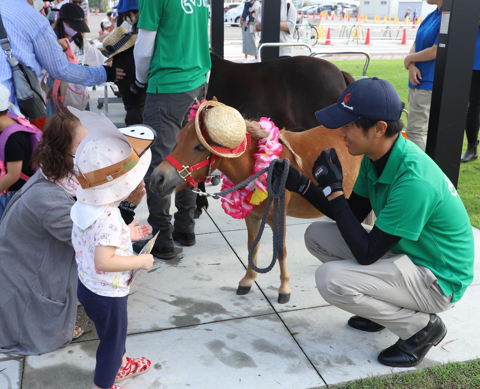 お馬さんのお出迎え