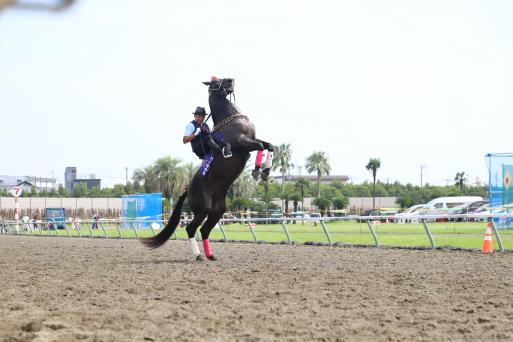 第34回馬に親しむ日2025-1