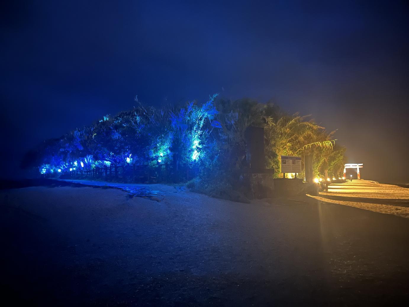 【期間限定】青島ライトアップ-1